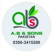AB and Sons Pakistan