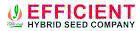 Efficient Hybrid Seed Company