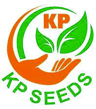 KP Seeds