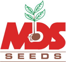 MDS Seeds