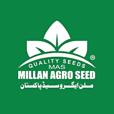 Millan Agro Seed MAS