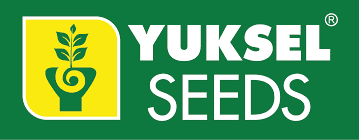 Yuksel Seeds